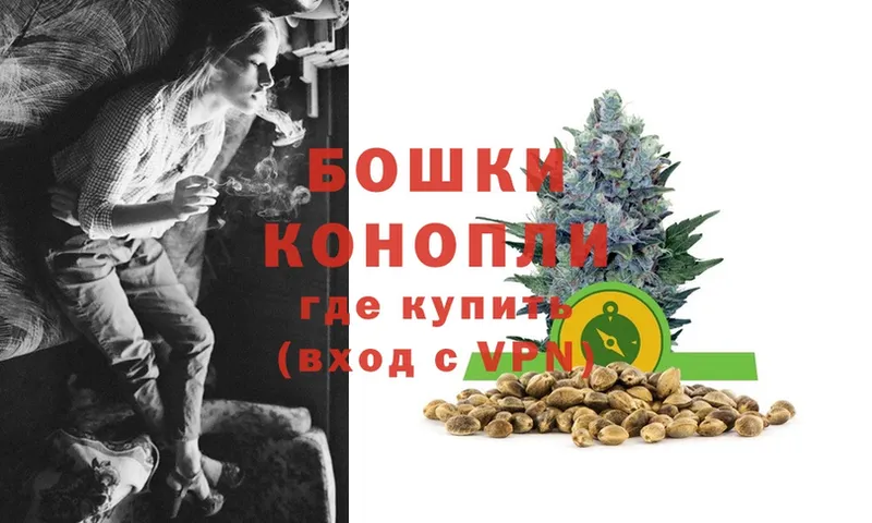 дарк нет телеграм  Медвежьегорск  МАРИХУАНА OG Kush 